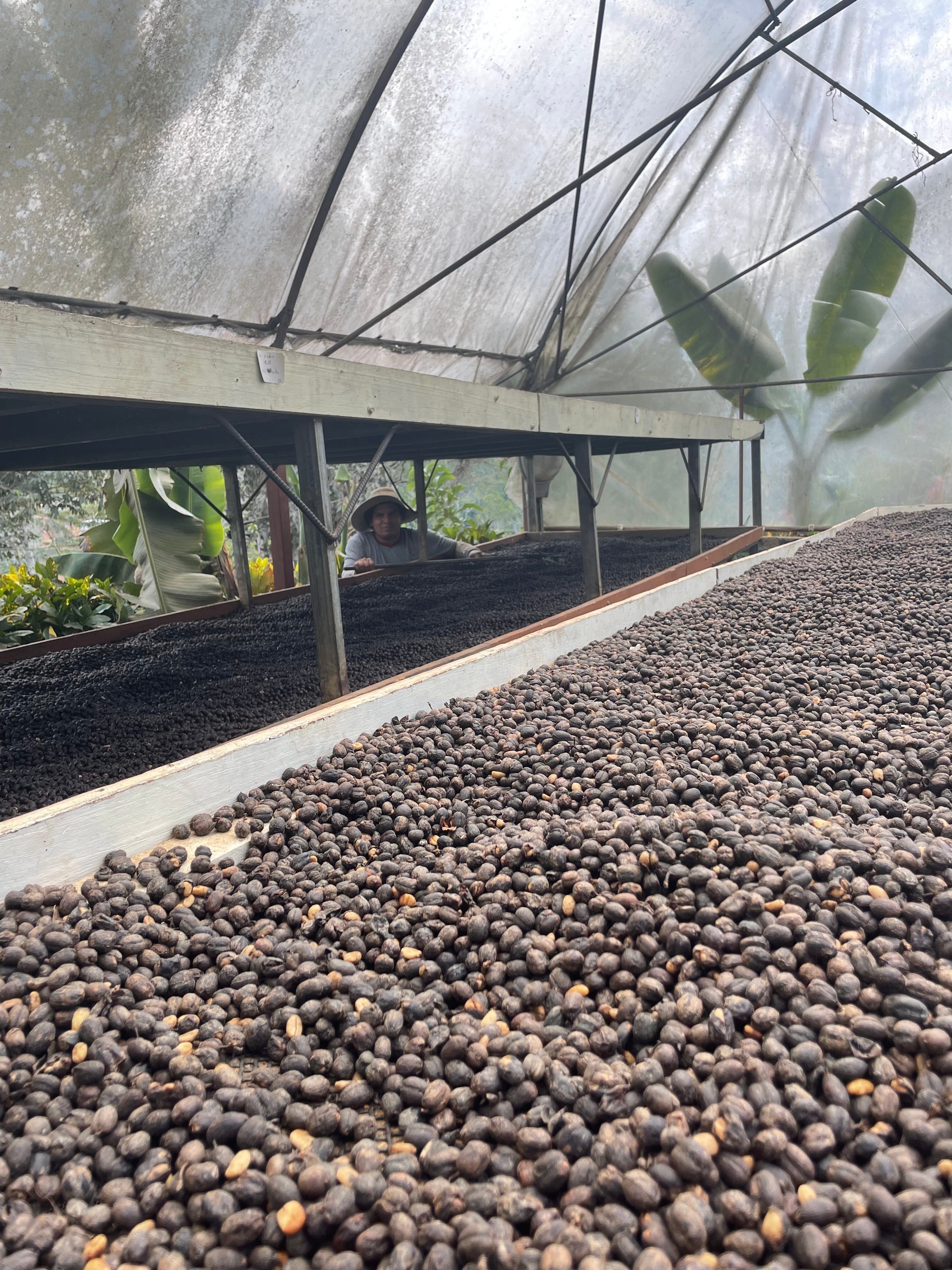 ¿Qué es un micro beneficio y por qué mejora tu café?