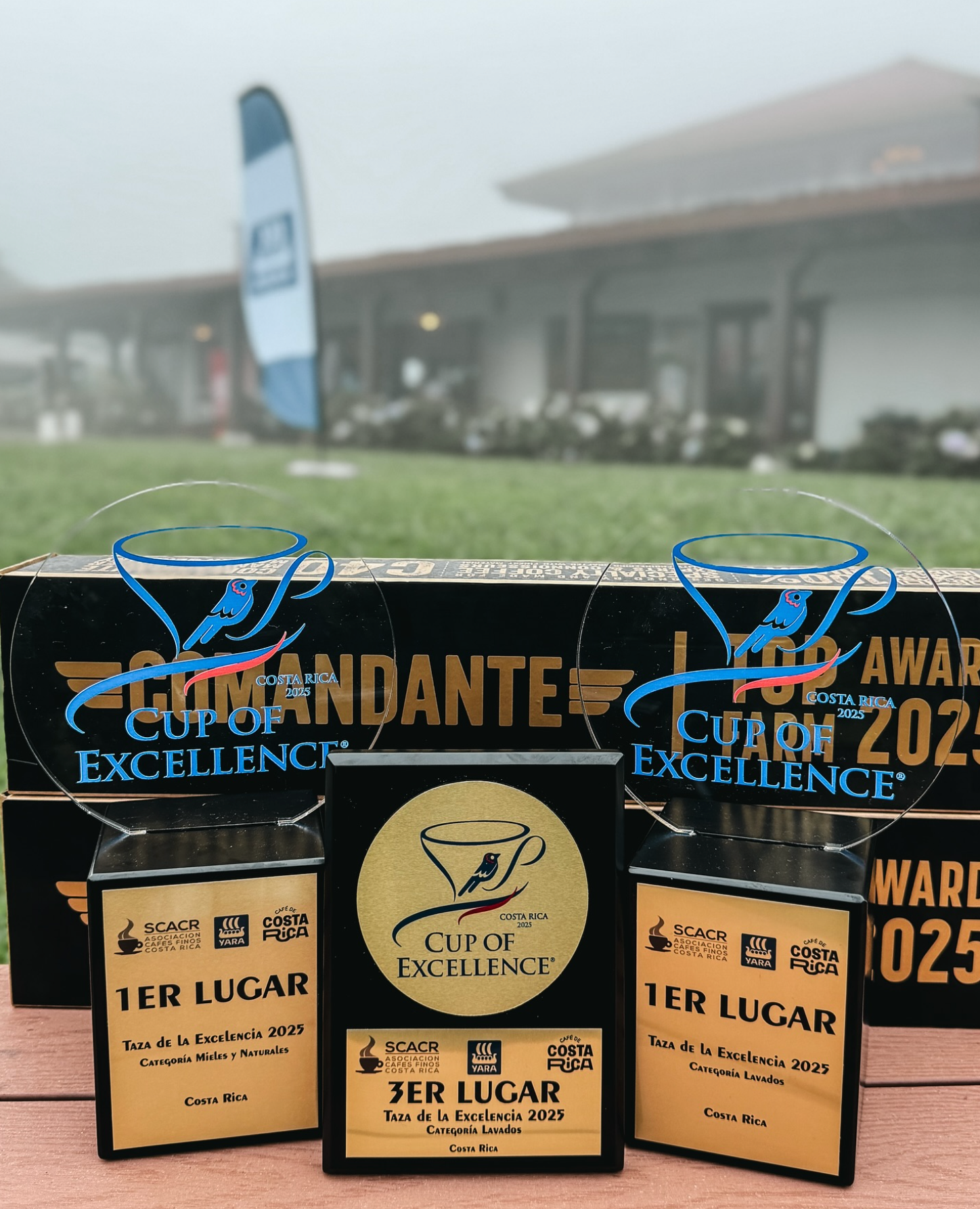 Taza de la Excelencia: el podio del café