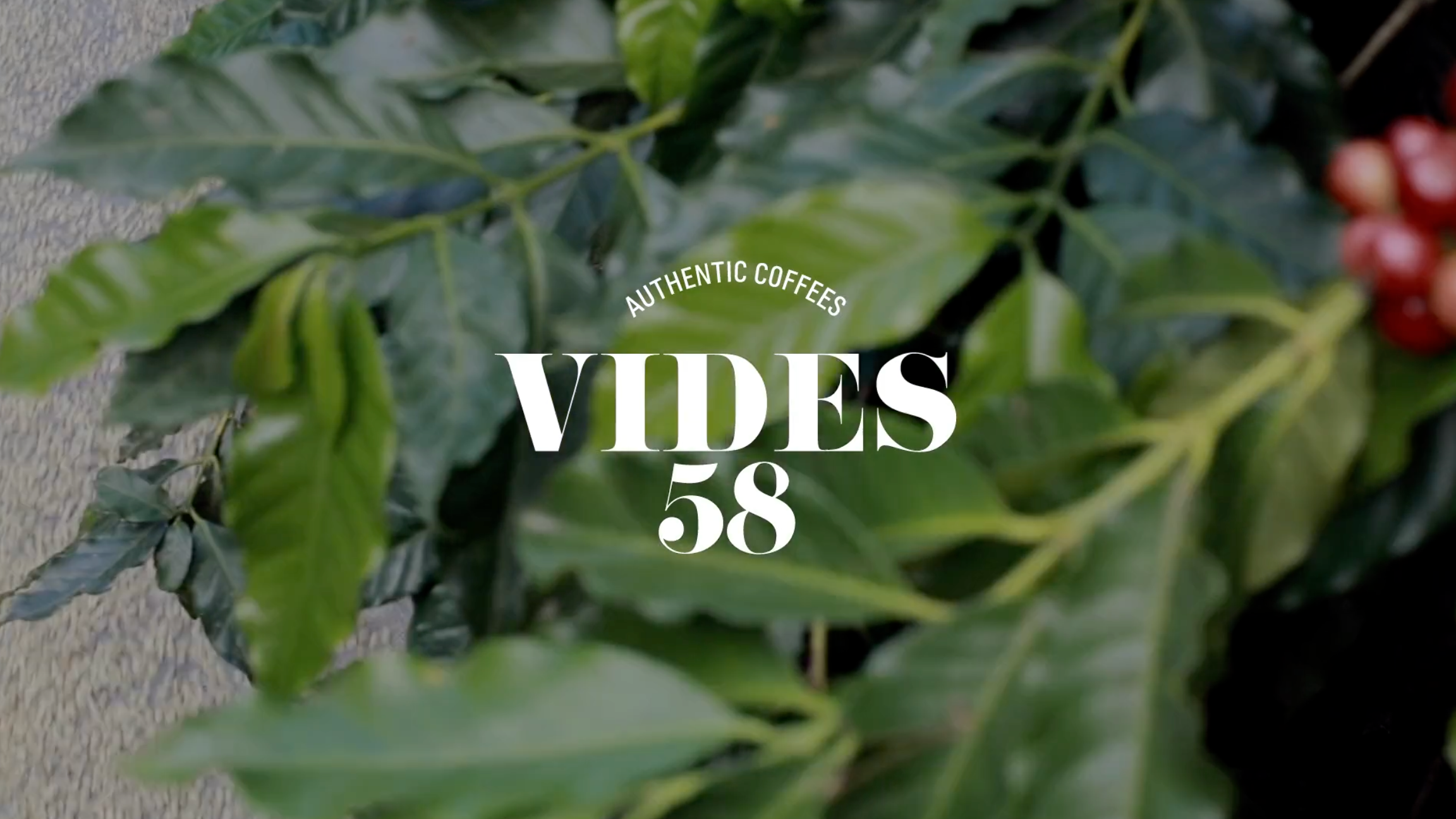Cargar video: 