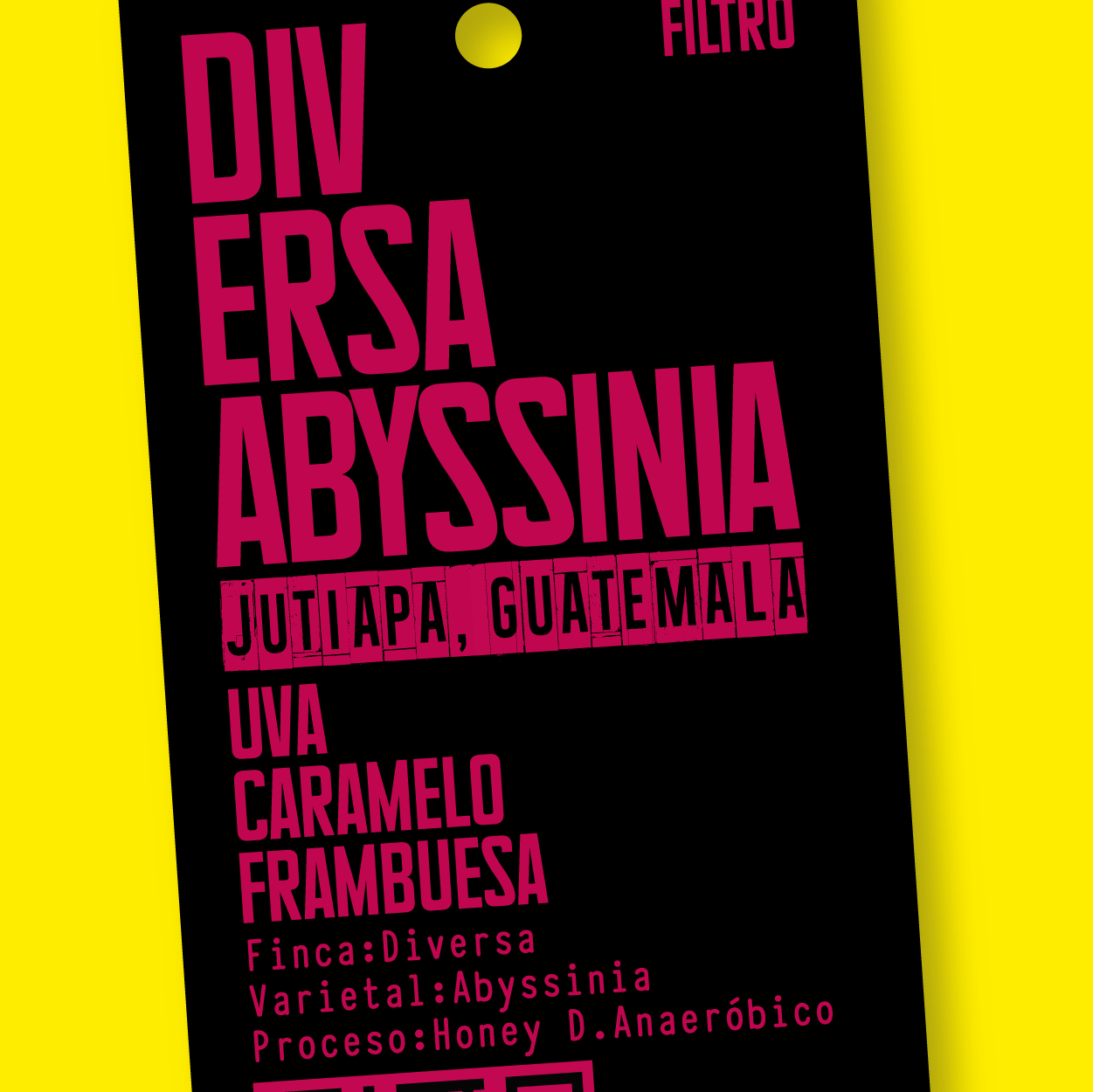 Diversa Abyssinia GUATEMALA