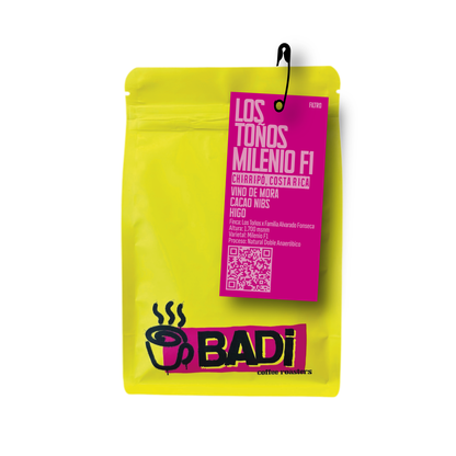 Los Toños Milenio F1 COSTA RICA