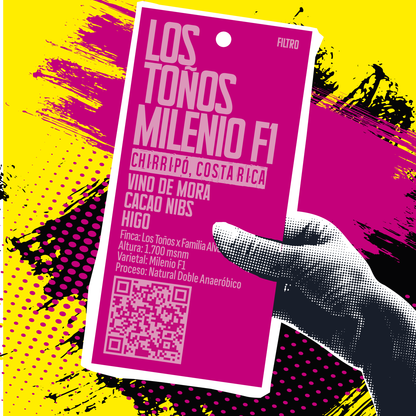 Los Toños Milenio F1 COSTA RICA