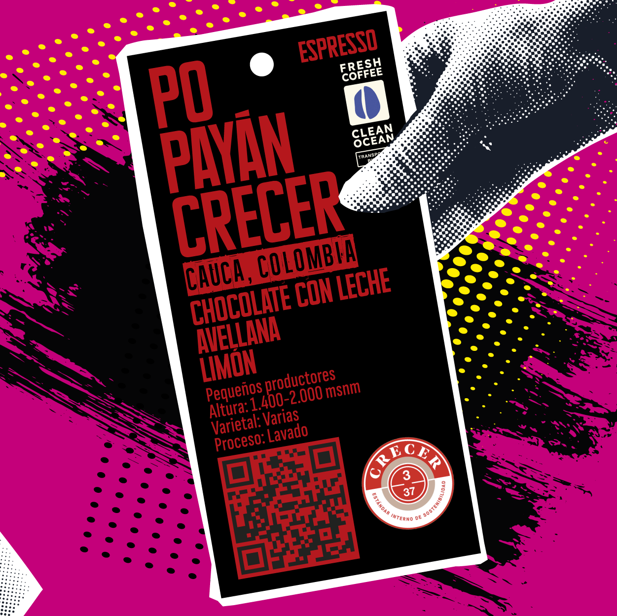 Popayán Crecer COLOMBIA