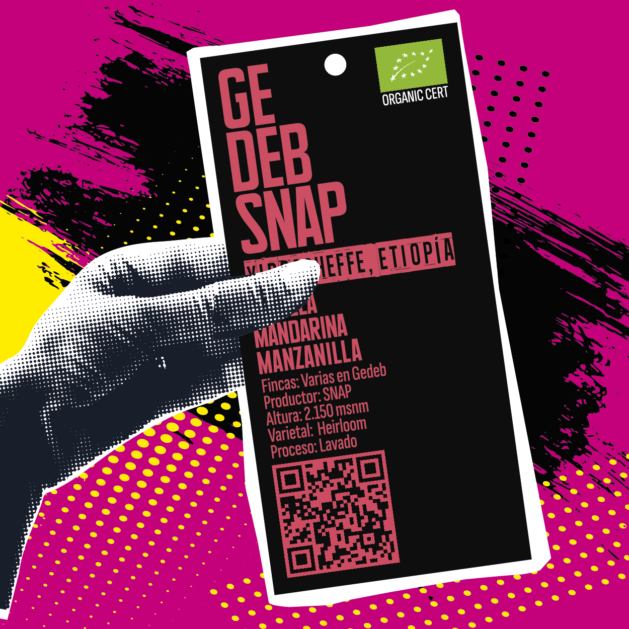 Gedeb Snap ETIOPÍA